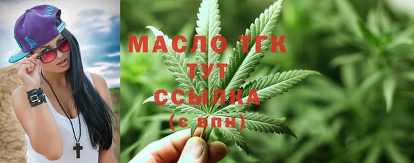 стаф Богданович