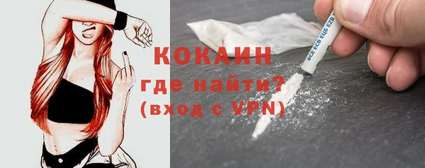 стаф Богданович