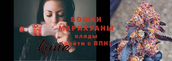 стаф Богданович