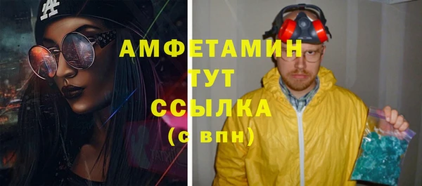 стаф Богданович