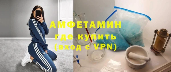 стаф Богданович