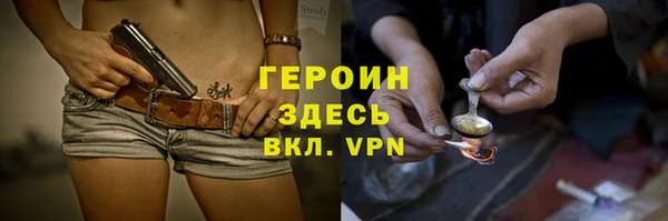 крисы Бородино