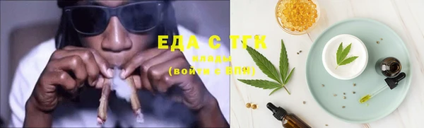 стаф Богданович