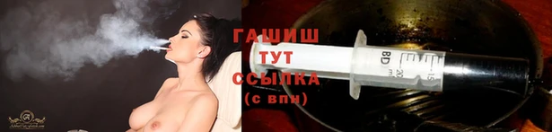 крисы Бородино
