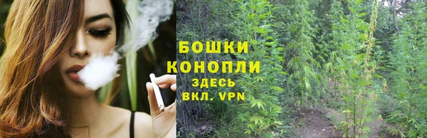 стаф Богданович