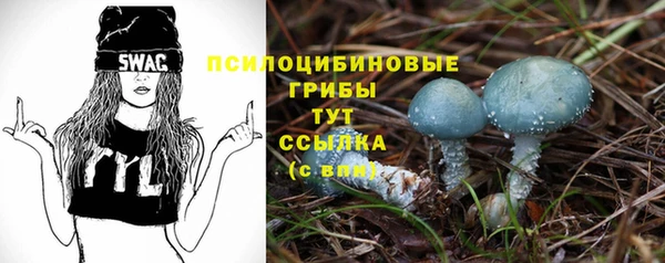 молекула духа Бугульма