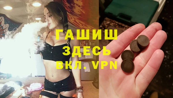 стаф Богданович