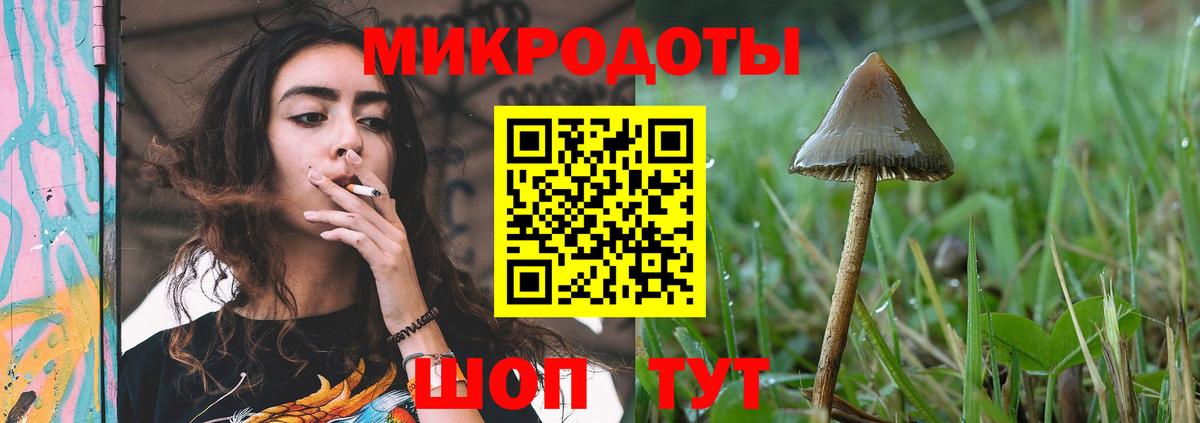 Наро-Фоминск  Галлюциногенные грибы прущие грибы  Вход с VPN 